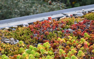 the cost of St Nicholas green roof installation